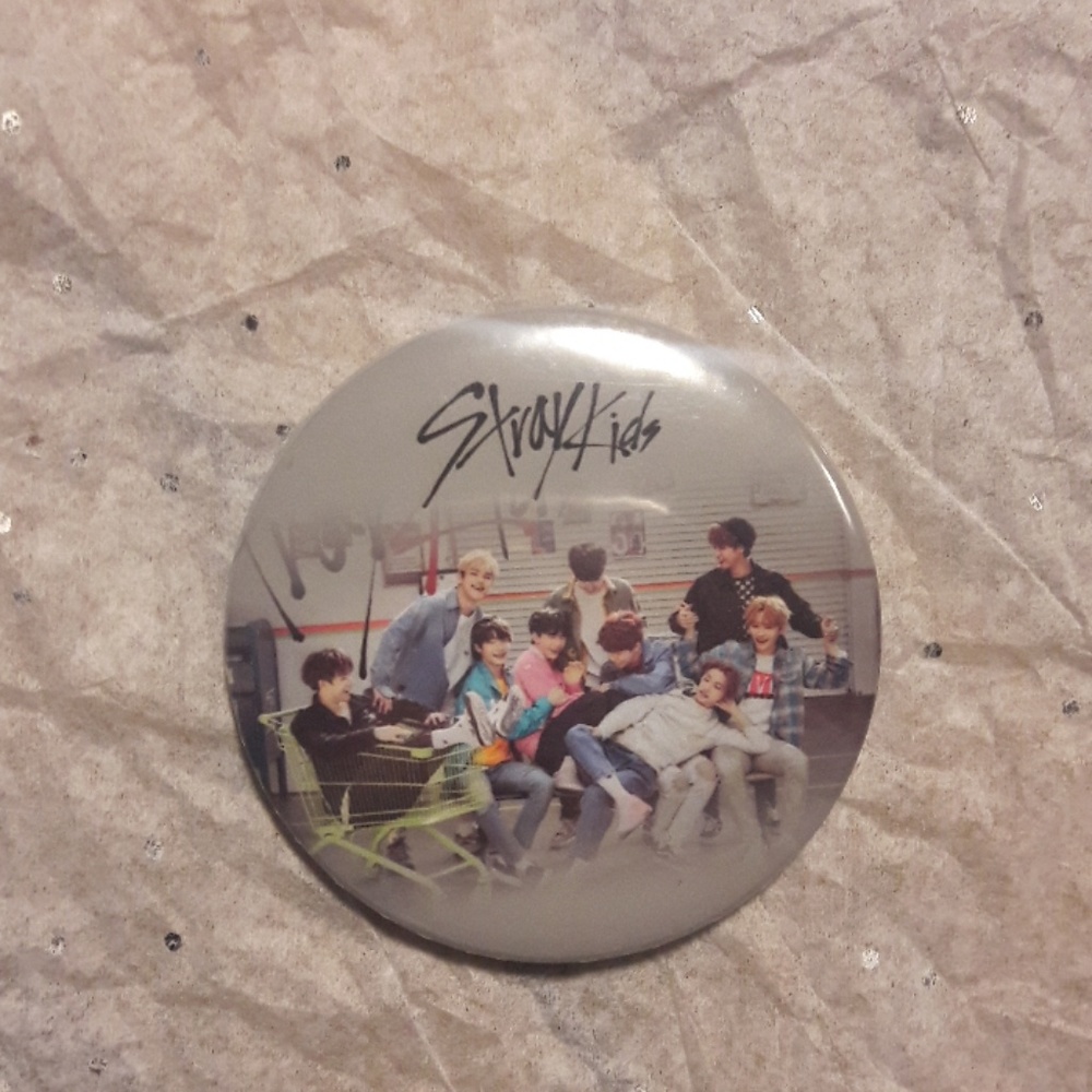 Stray Kids Kpop Fashion Pin